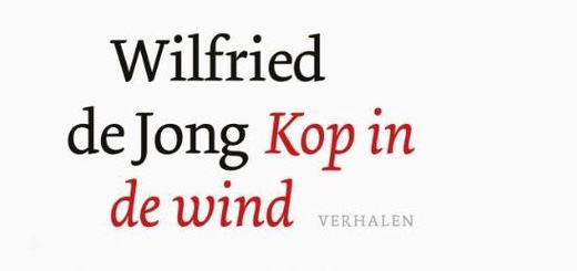 Gelezen: Kop in de wind (Wilfried de Jong)